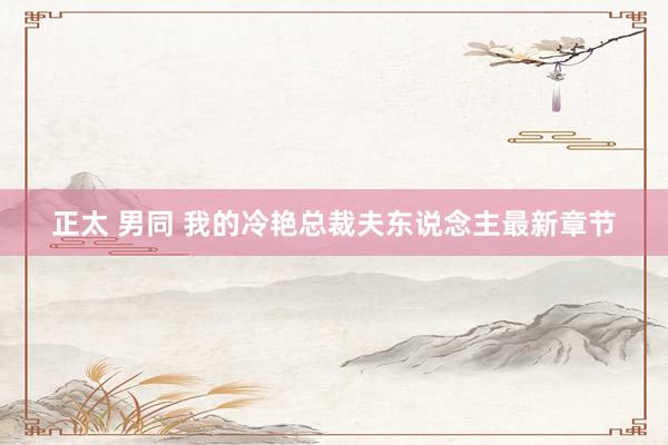 正太 男同 我的冷艳总裁夫东说念主最新章节