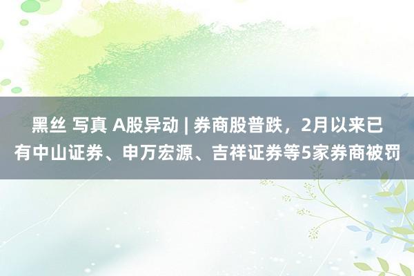黑丝 写真 A股异动 | 券商股普跌，2月以来已有中山证券、申万宏源、吉祥证券等5家券商被罚
