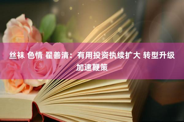 丝袜 色情 翟善清：有用投资执续扩大 转型升级加速鞭策