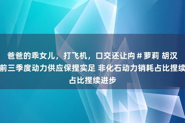 爸爸的乖女儿，打飞机，口交还让禸＃萝莉 胡汉舟：前三季度动力供应保捏实足 非化石动力销耗占比捏续进步