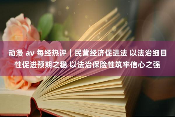 动漫 av 每经热评｜民营经济促进法 以法治细目性促进预期之稳 以法治保险性筑牢信心之强