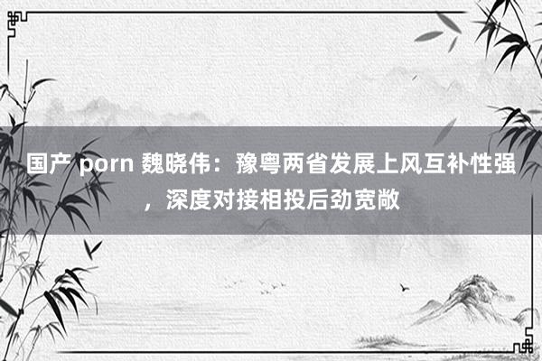 国产 porn 魏晓伟：豫粤两省发展上风互补性强，深度对接相投后劲宽敞