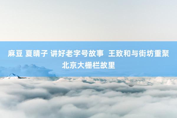 麻豆 夏晴子 讲好老字号故事  王致和与街坊重聚北京大栅栏故里