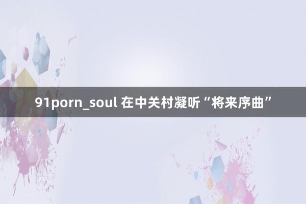 91porn_soul 在中关村凝听“将来序曲”
